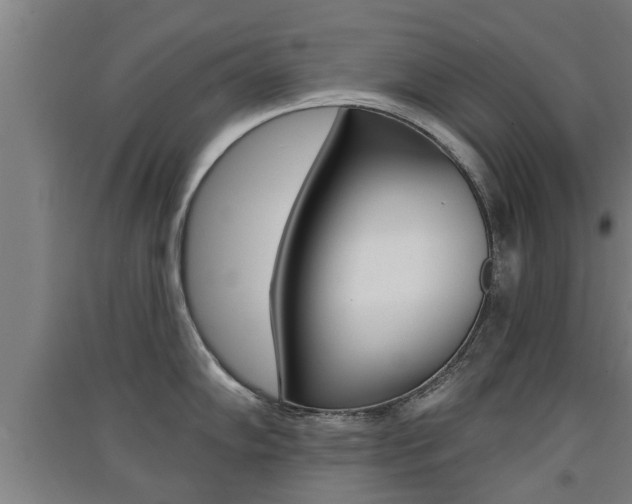 X0000091511102200708170944