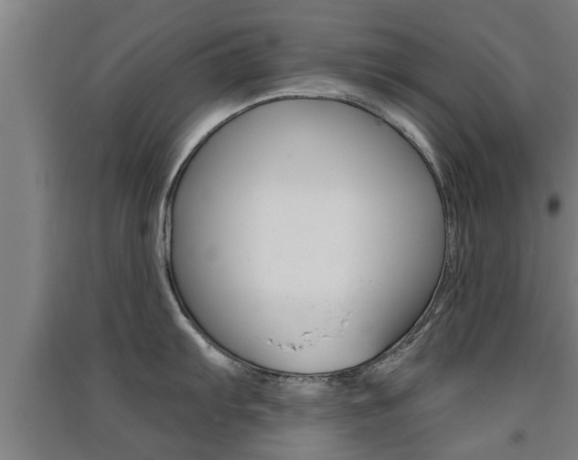 X0000091511103200708170944