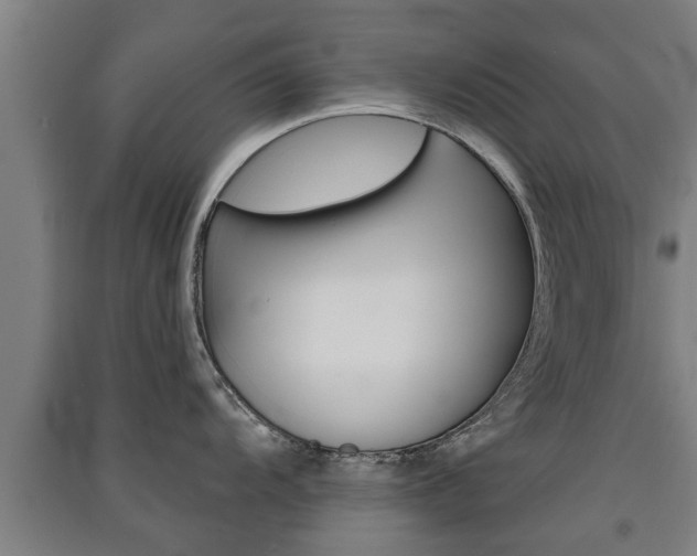 X0000091511104200708170944