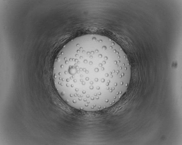 X0000091511105200708170944