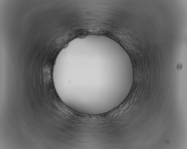 X0000091511106200708170944