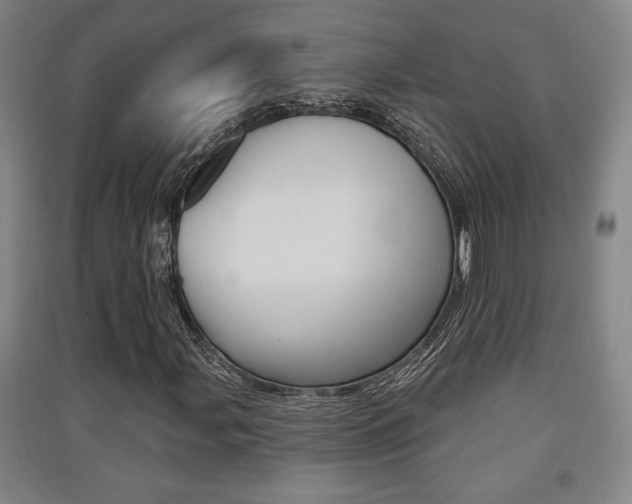 X0000091511107200708170944
