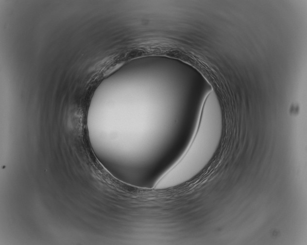 X0000091511108200708170944