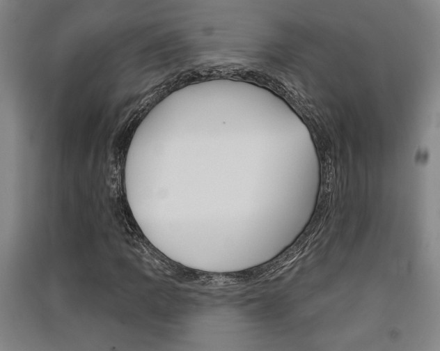 X0000091511109200708170944