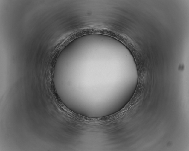 X0000091511110200708170944