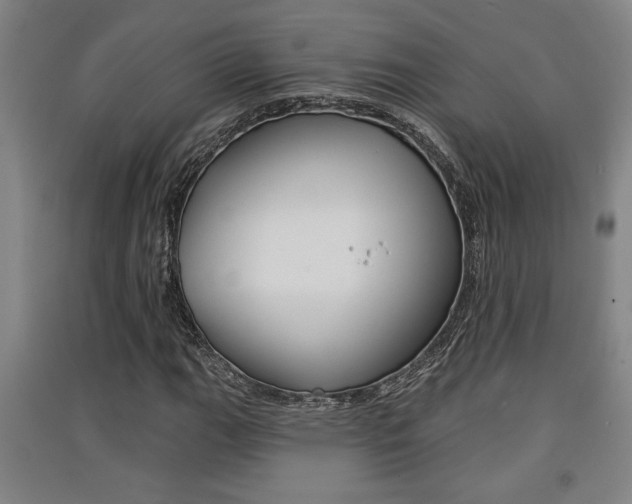 X0000091511111200708170944