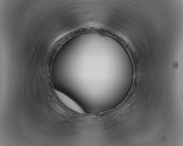 X0000091511112200708170944