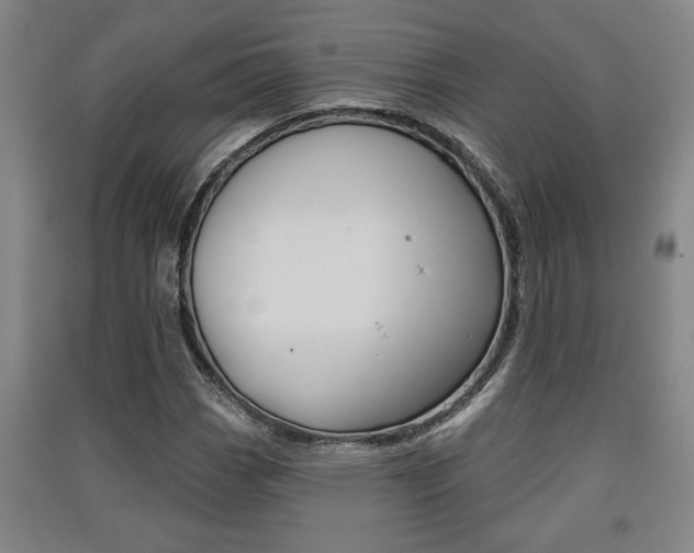 X0000091511113200708170944