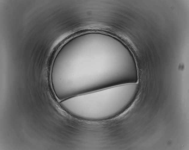 X0000091511114200708170944