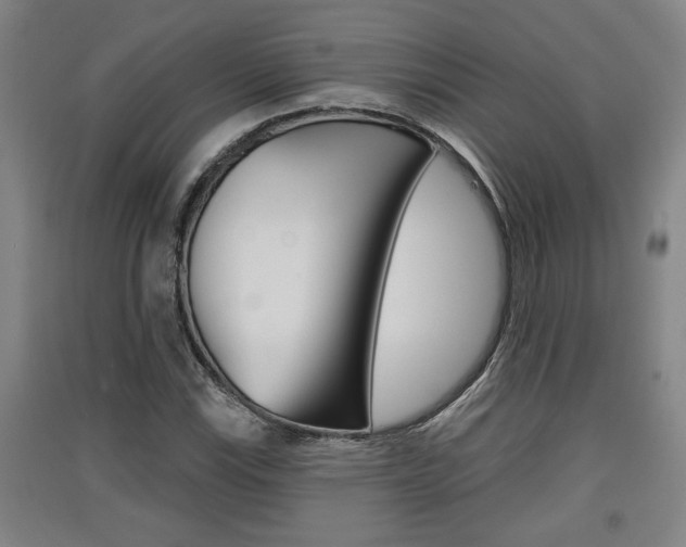 X0000091511115200708170944