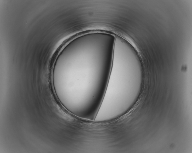X0000091511116200708170944