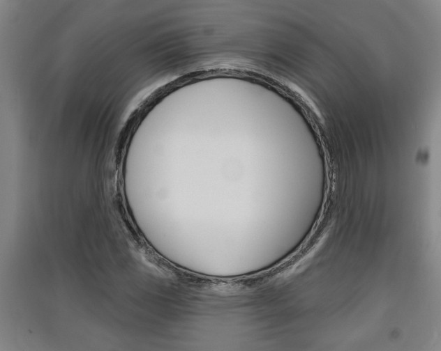 X0000091511117200708170944