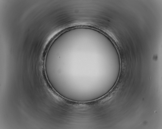 X0000091511119200708170944