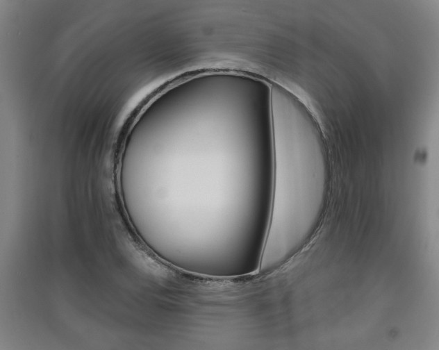 X0000091511120200708170944
