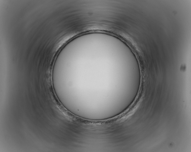 X0000091511121200708170944