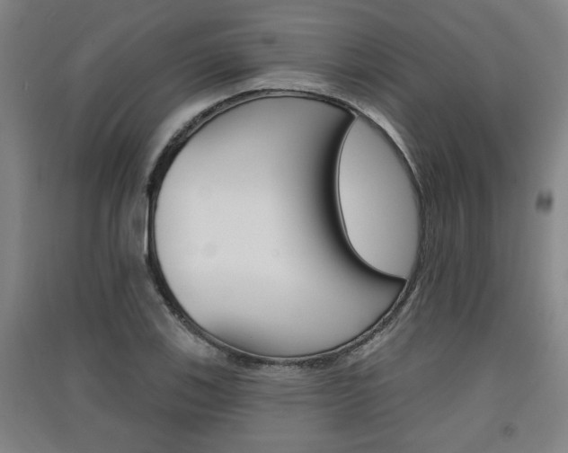 X0000091511123200708170944