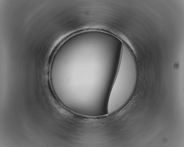 X0000091511124200708170944