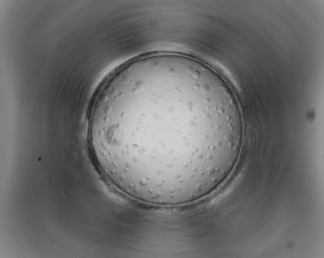 X0000091511125200708170944