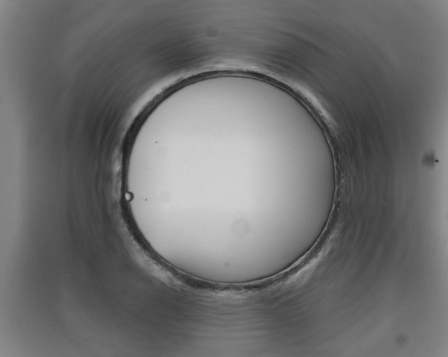 X0000091511126200708170944