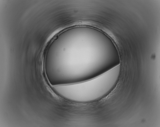 X0000091511127200708170944
