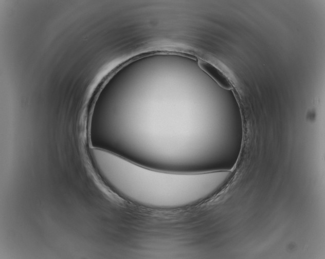 X0000091511128200708170944