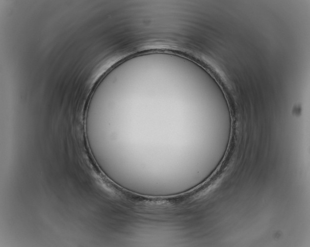 X0000091511129200708170944
