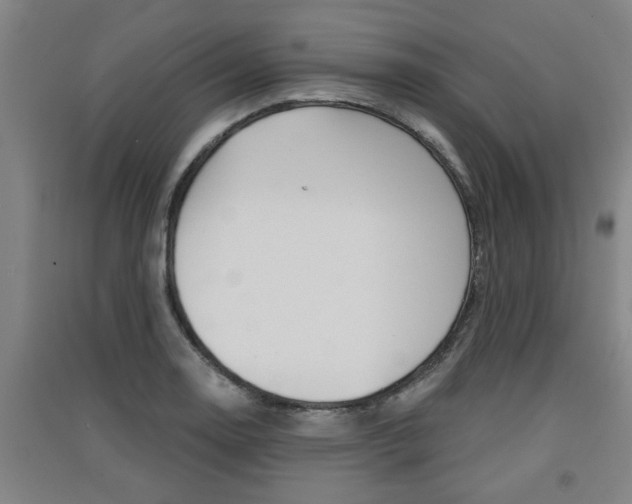 X0000091511130200708170944