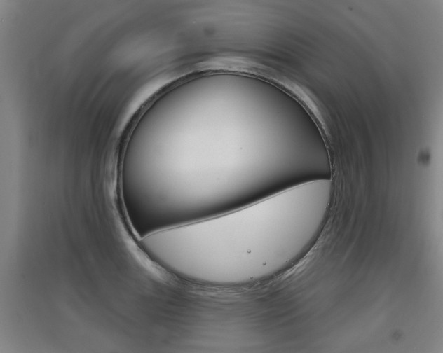 X0000091511131200708170944