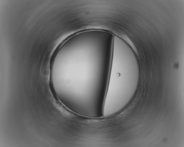 X0000091511132200708170944