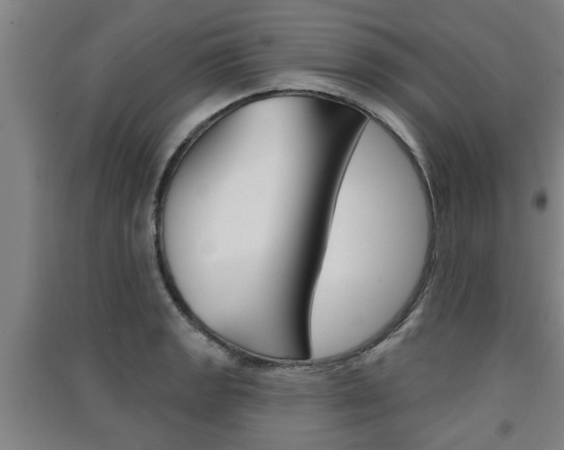 X0000091511133200708170944