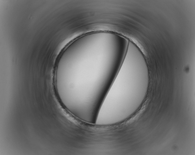 X0000091511134200708170944