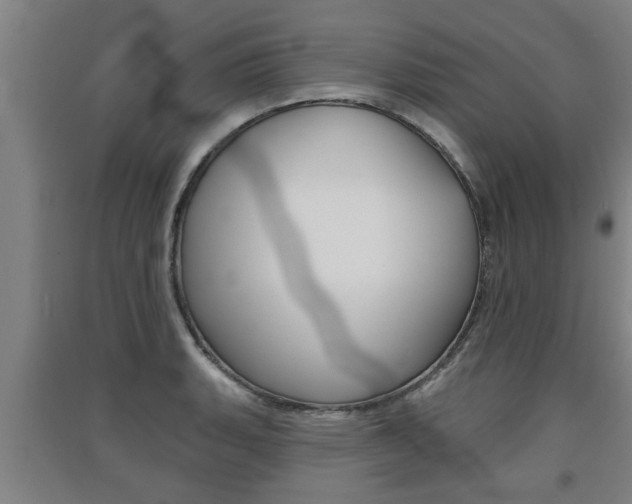 X0000091511135200708170944