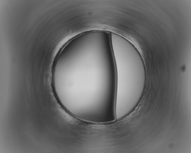 X0000091511136200708170944