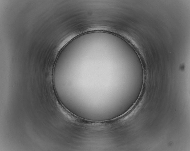 X0000091511137200708170944