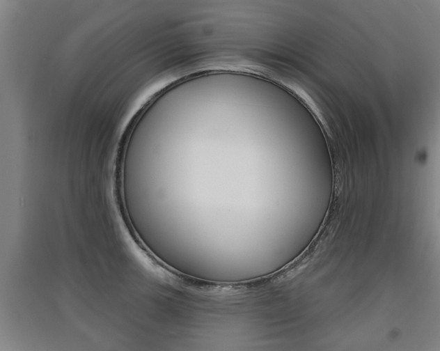 X0000091511139200708170944