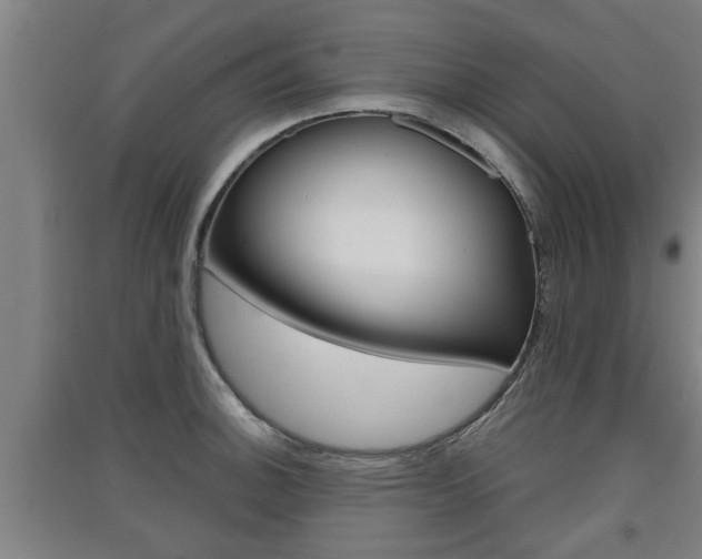 X0000091511140200708170944