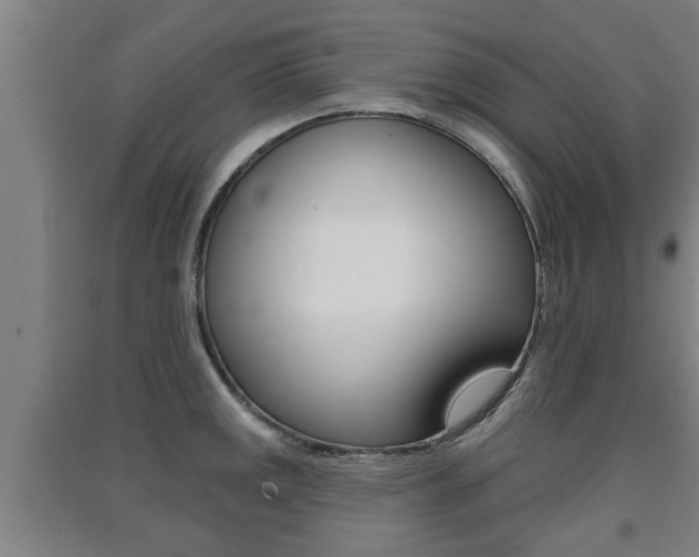 X0000091511141200708170944