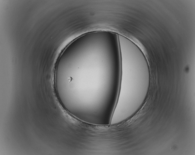 X0000091511144200708170944