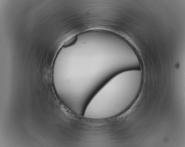 X0000091511145200708170944