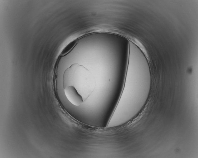 X0000091511146200708170944