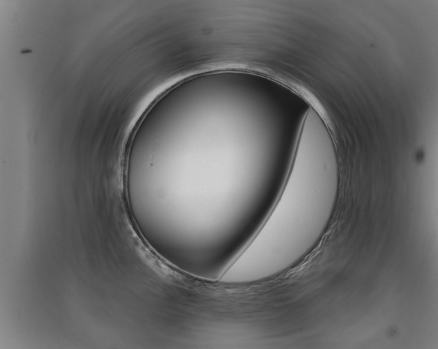 X0000091511148200708170944