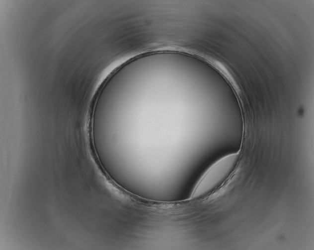 X0000091511149200708170944