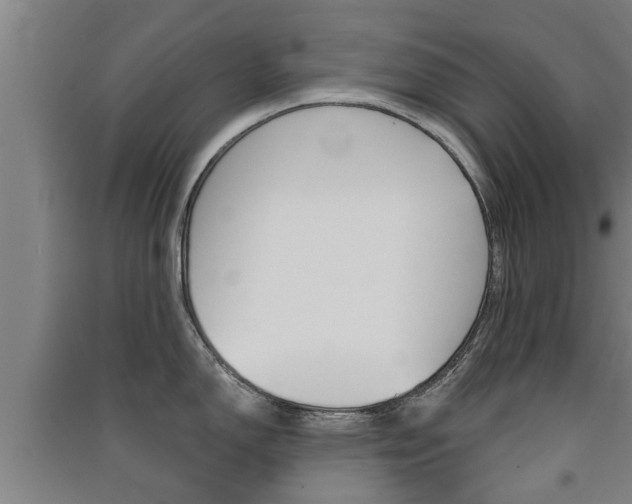 X0000091511150200708170944