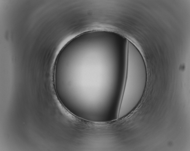 X0000091511152200708170944