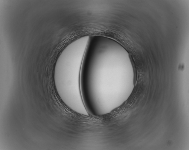 X0000091511153200708170944