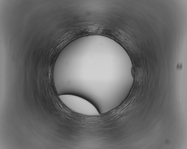 X0000091511154200708170944