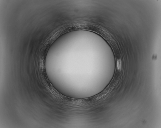 X0000091511155200708170944