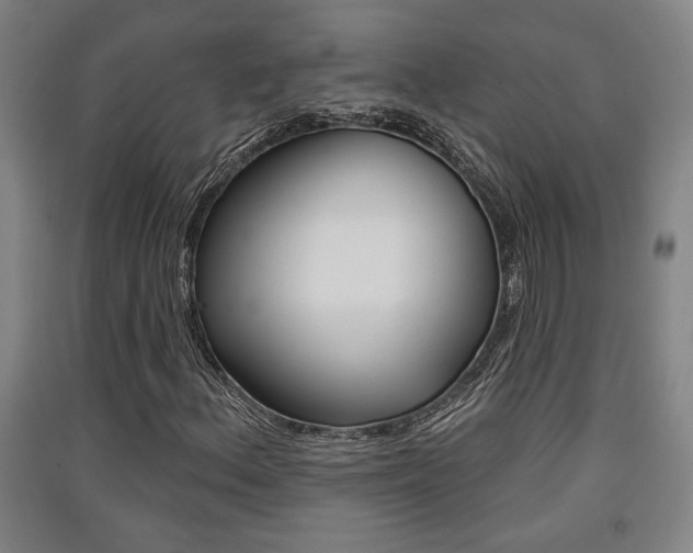 X0000091511156200708170944