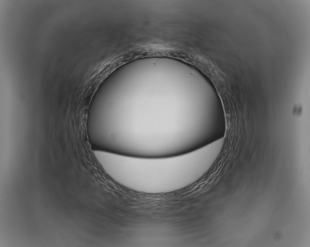 X0000091511157200708170944