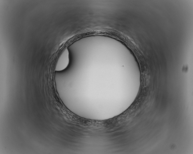 X0000091511158200708170944